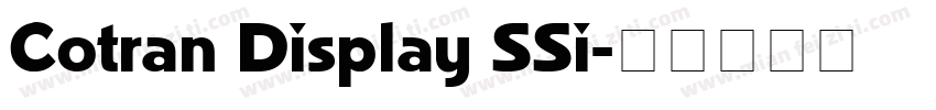 Cotran Display SSi字体转换